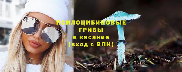 mdpv Покров