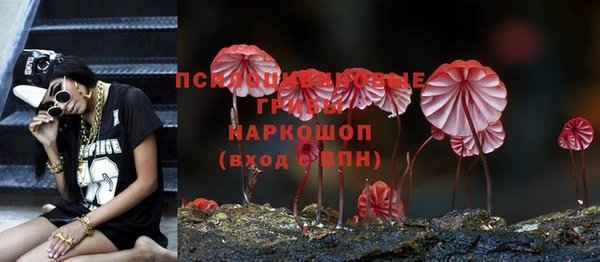 метамфетамин Покачи