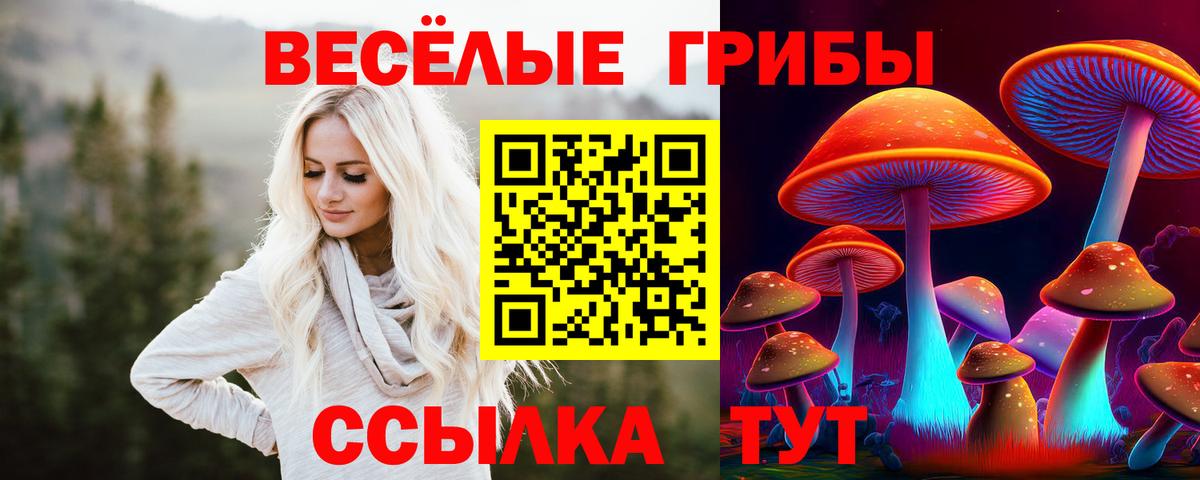 Галлюциногенные грибы Psilocybine cubensis Советск
